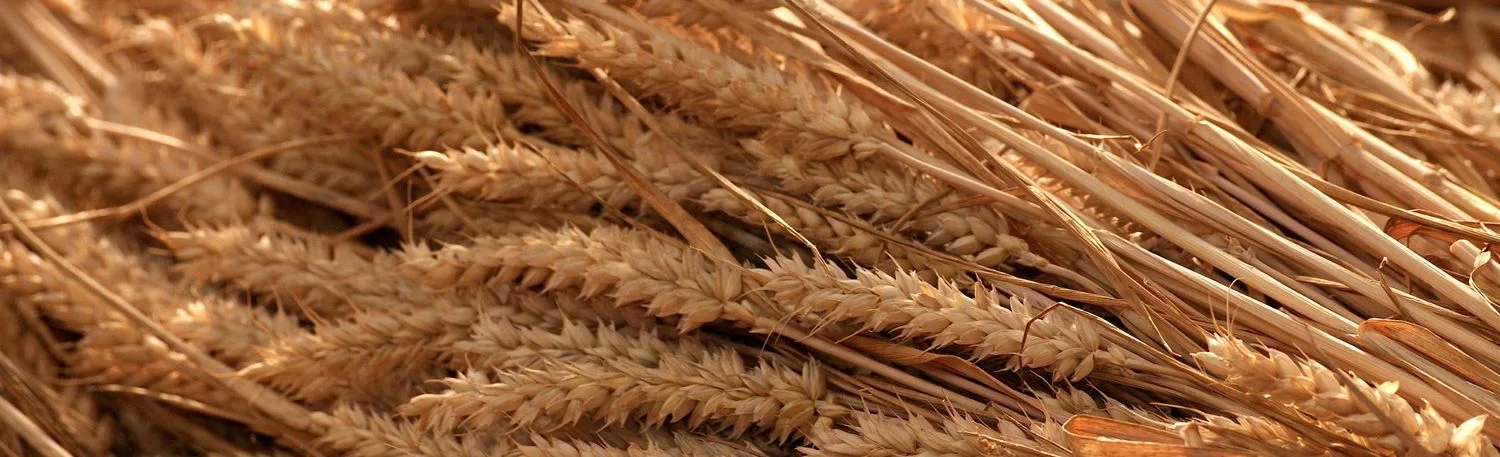 CCE162: El atributo cce11:ComercioExterior:TotalUSD debe ser igual a la suma de los valores del atributo ValorDolares de las mercancías. SAT - México